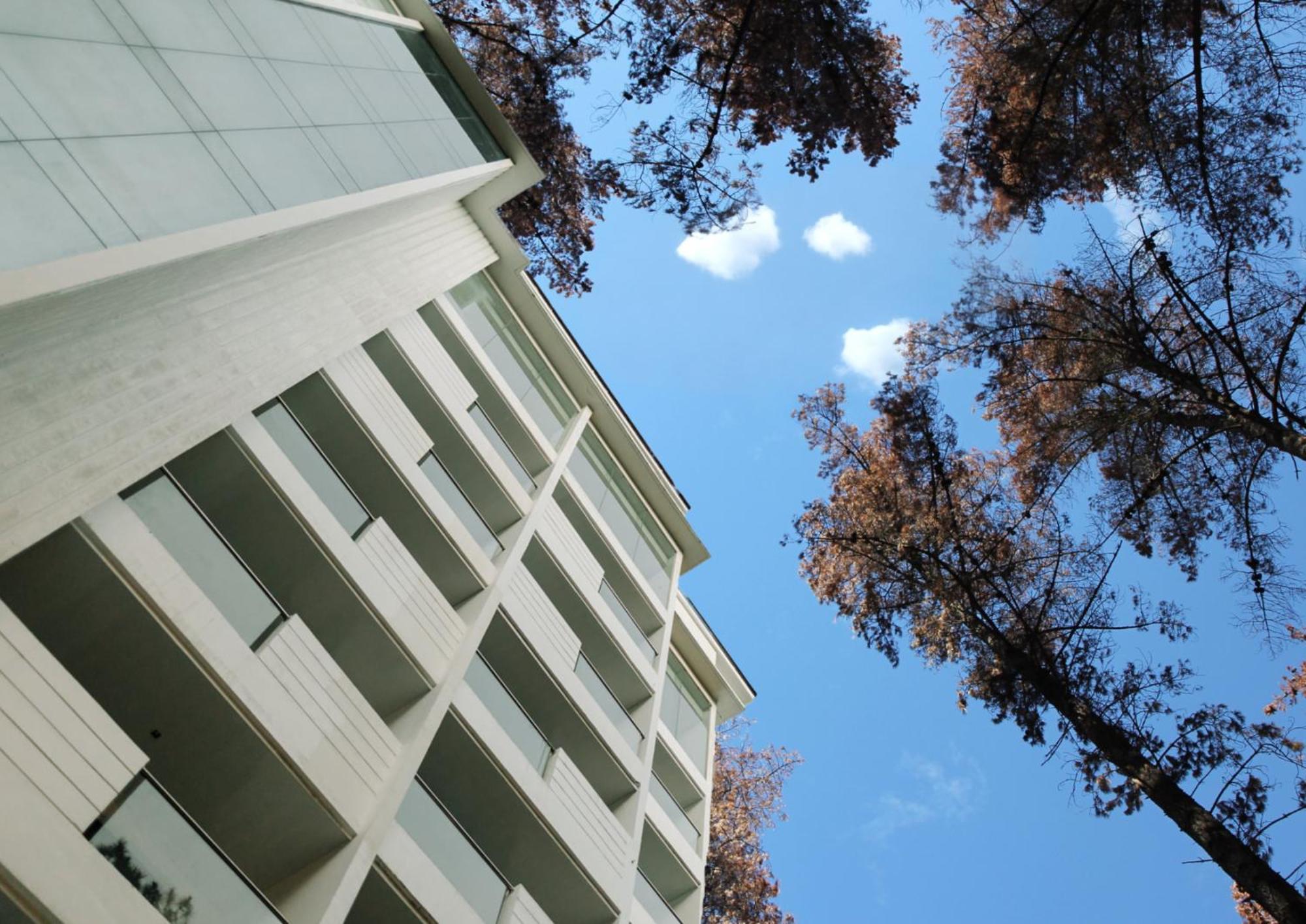 The Plaza Lodge Baguio باغيو المظهر الخارجي الصورة