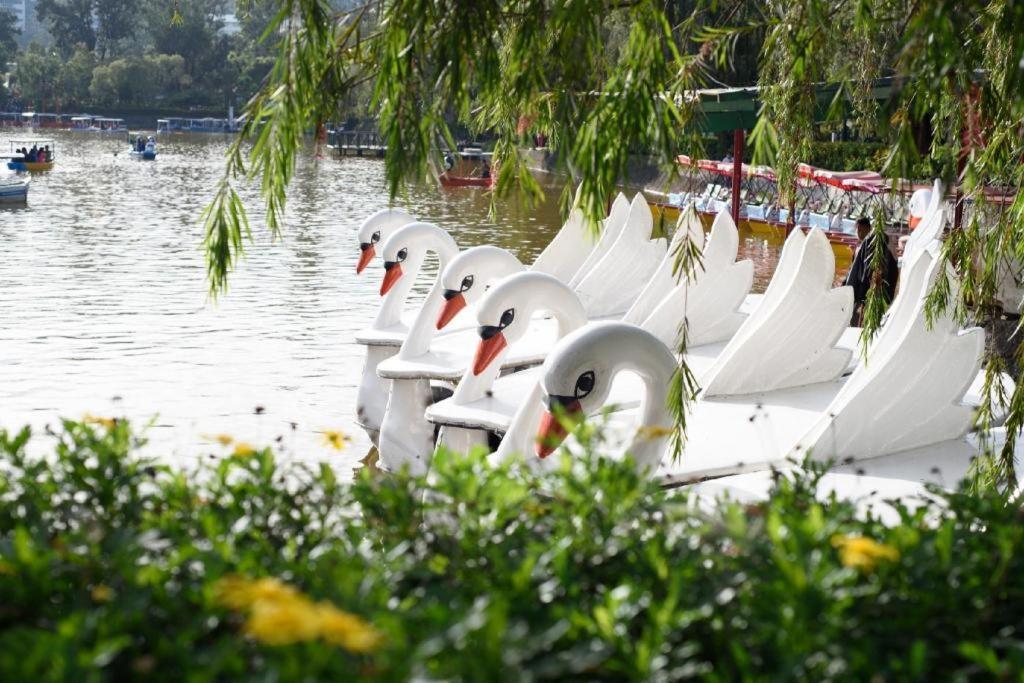 The Plaza Lodge Baguio باغيو المظهر الخارجي الصورة