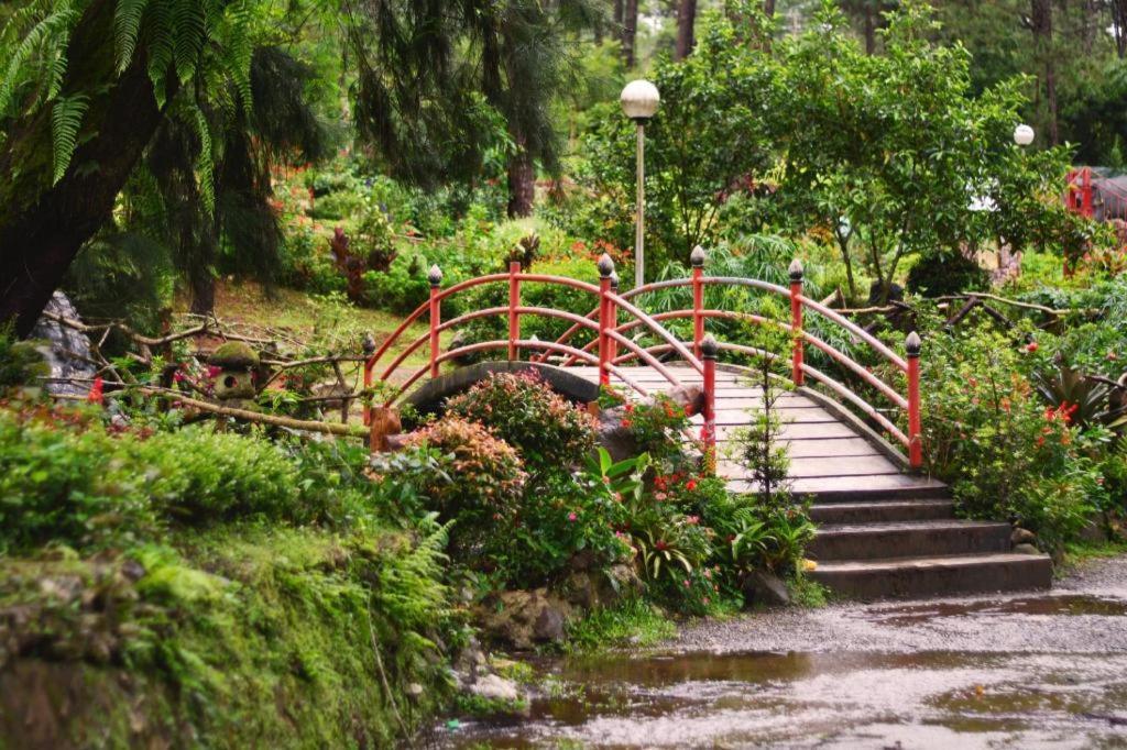 The Plaza Lodge Baguio باغيو المظهر الخارجي الصورة
